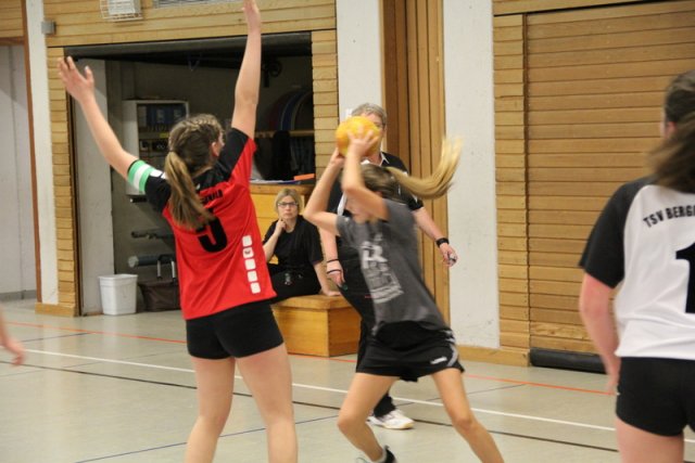 2018_01_13 Landesliga J15